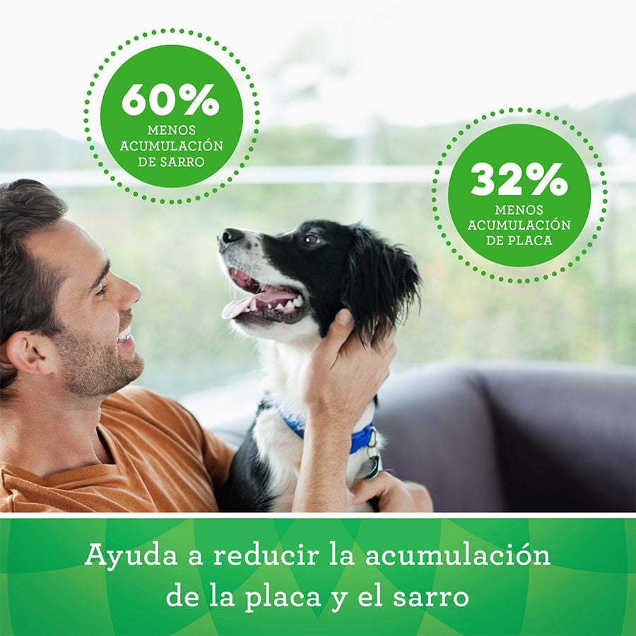 4 barritas Greenies Snacks Dentales Naturales para perros grandes, , large indicador imagen numero 5
